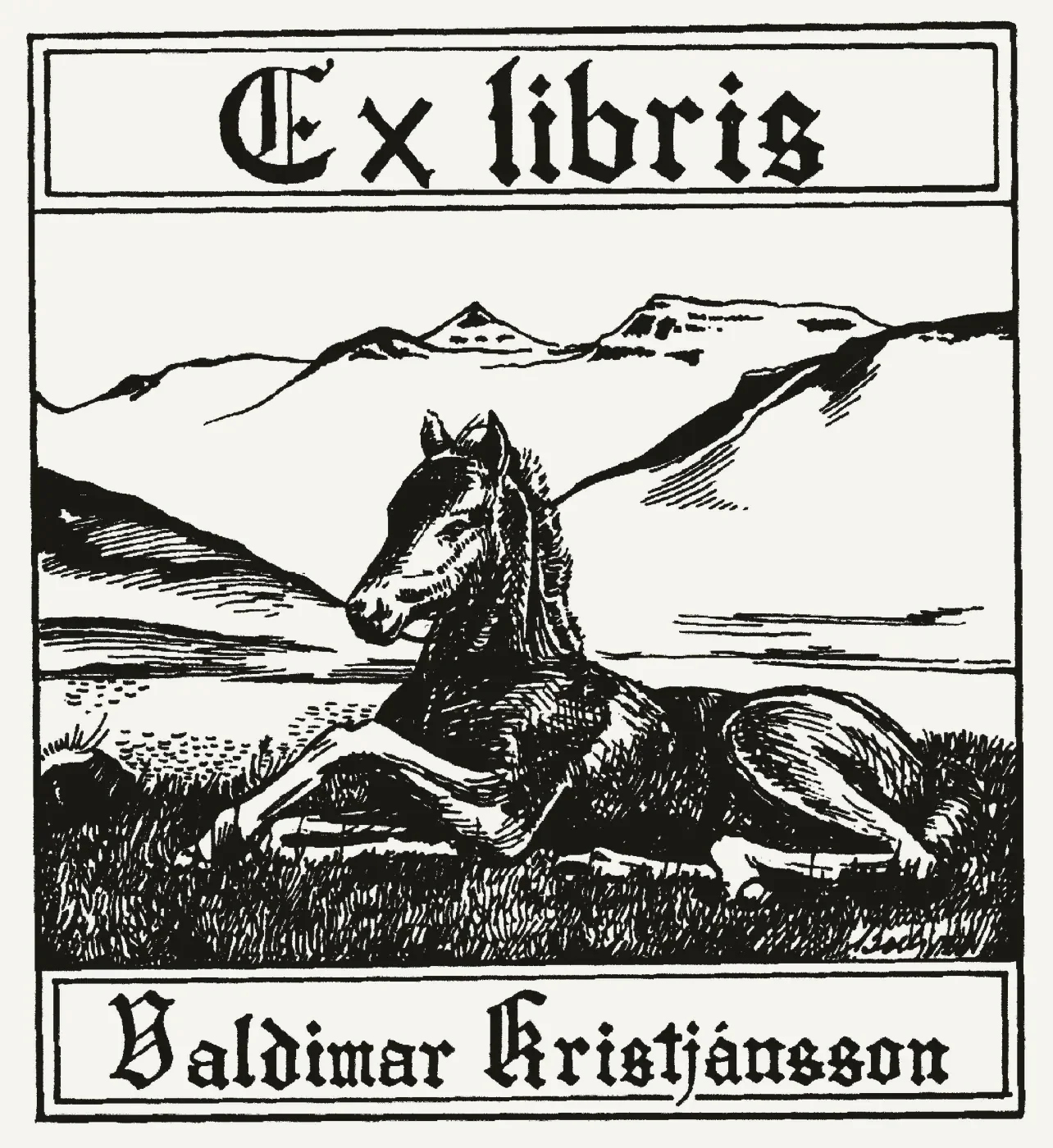 Bókmerki: Valdimar Kristjánsson, bóndi
